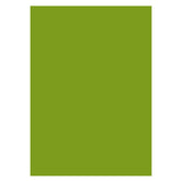 Lofaris Olive Drab Solid Green Portrait Photo Backdrop